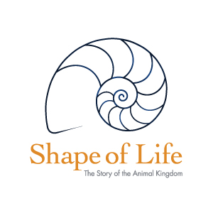 Phenomena-Driven Inquiry