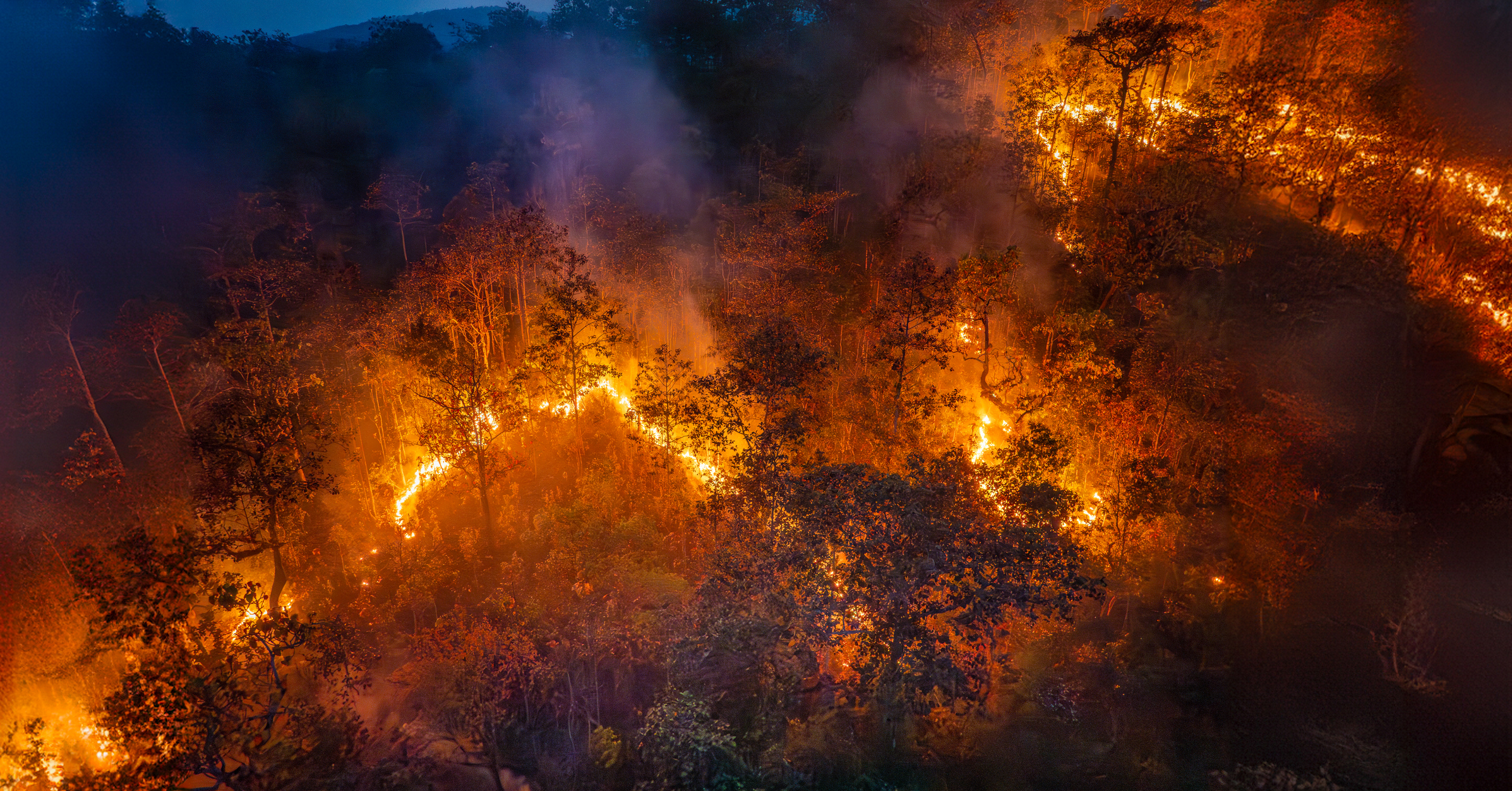Wildfire Climate Resilience and Adaptation Toolkit 