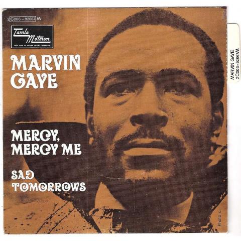 Music for Environmental Education Activity: Marvin Gaye - Mercy Mercy Me (The Ecology)