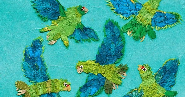Parrots Over Puerto Rico - Teachers Guide