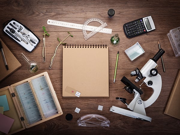 CCSS High School Physics Stories of Success